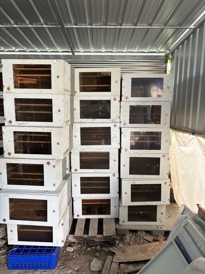 ตู้ Rack 6U