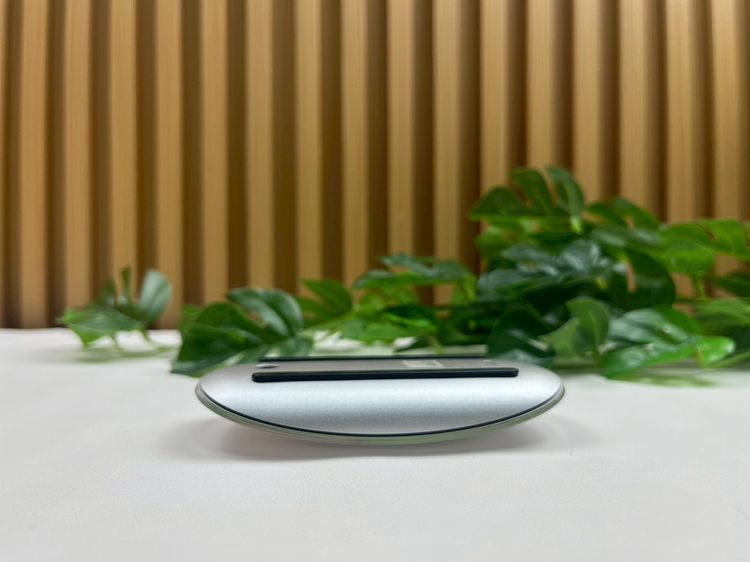 Apple Magic Mouse2 (USB-C) รูปที่ 6