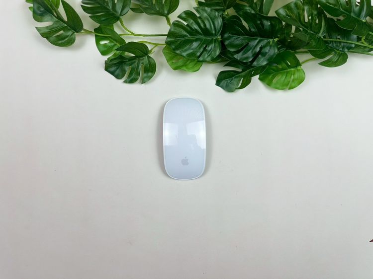 Apple Magic Mouse2 (USB-C)