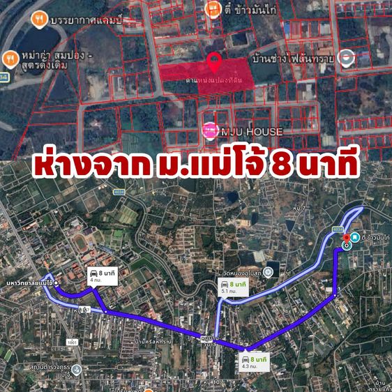 ขายด่วน ที่ดินพร้อมบ้าน 3 ไร่ 2 งาน ใกล้ ม.แม่โจ้ รูปที่ 2