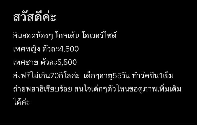โกลเด้นโอเวอร์ไซด์ รูปที่ 5