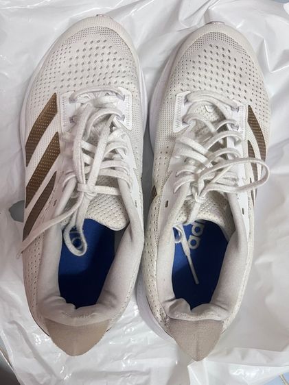 ขาว UK 6 | EU 39 1/3 | US 7.5 Adidas Adizero SL W ของแท้ ไซซ์ 24.5cm 