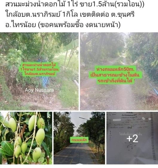 สวนมะม่วงน้ำดอกไม้ 1ไร่ ขาย1.5ล้าน(รวมโอน))
ใกล้อบต.นราภิรมย์ 1กิโล เขตติดต่อ ต.ขุนศรี อ.ไทรน้อย (ขอคนพร้อมซื้อ งดนายหน้า)