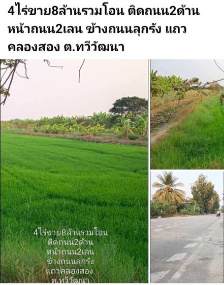 ใช่ 4ไร่ขาย8ล้านรวมโอน ติดถนน2ด้าน หน้าถนน2เลน ข้างถนนลุกรัง แถวคลองสอง ต.ทวีวัฒนา
