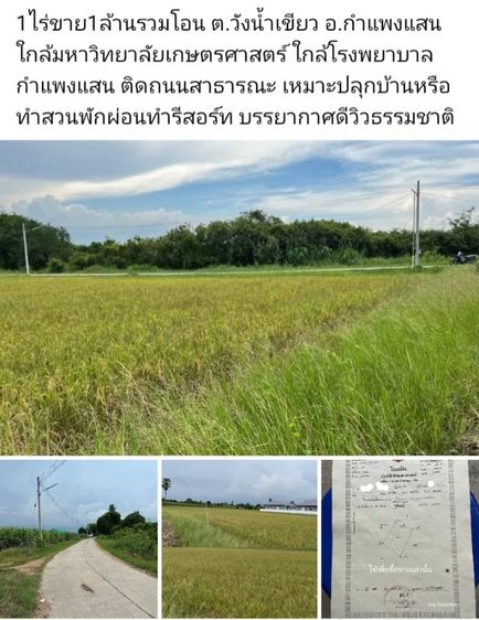 ใช่ 1ไร่ขาย1ล้านรวมโอน ต.วังน้ำเขียว อ.กำแพงแสน 
ใกล้มหาวิทยาลัยเกษตรศาสตร์ ใกล้โรงพยาบาลกำแพงแสน ติดถนนสาธารณะ เหมาะปลุกบ้านหรือทำสวนพักผ่อนทำรีสอร์ท บรรยากาศดีวิวธรรมชาติ