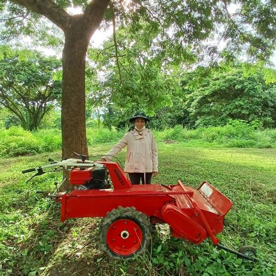 รถตัดหญ้าเดินตามใบวาย 