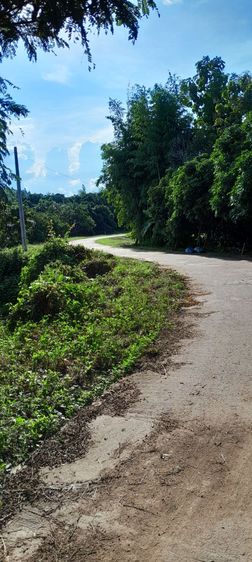 ที่ดินวิวสวยงามตามธรรมชาติใกล้ดอย รูปที่ 4