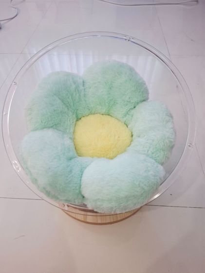 เตียง เสื่อ และบ้าน ที่นอนแมว