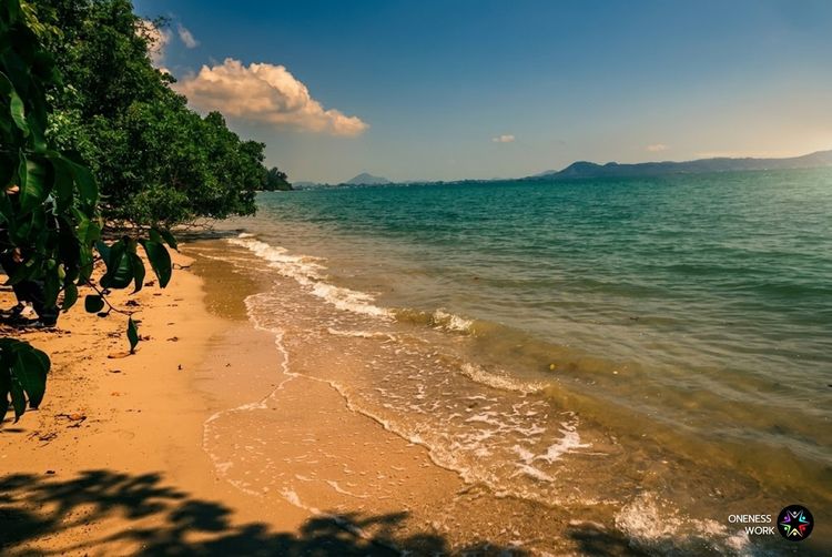 ที่ดินติดหาด โซนราไวย์ ภูเก็ต 12 ไร่ 