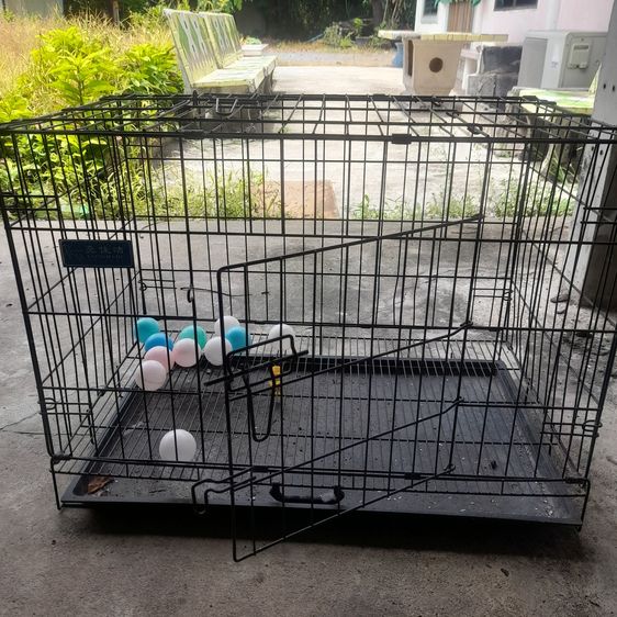 กรง คอกและประตู กรงหมา