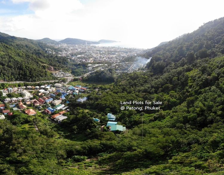 ที่ดินแปลงสวยบนเนินเขา (Hill Side) ขนาด 4 ไร่ 22 ตารางวา  ในซอยควนยาง-ป่าตอง 
