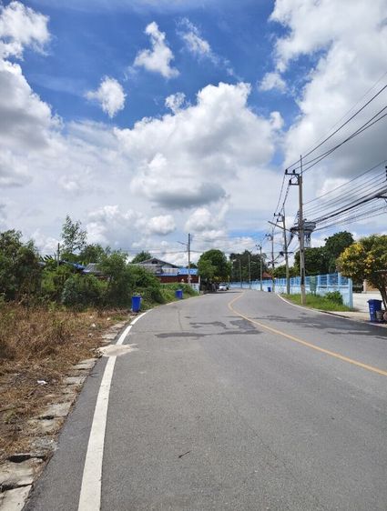 ใช่ ที่ดิน ติดถนน4เลน ในเขตเทศบาลหนองหญ้าไซ จ.สุพรรณบุรี ตรงข้ามสวนเฉลิมพระเกียรติฯ ใกล้เทศบาล ไปรษณีย์ ตลาด รองรับไฟฟ้าประปา รูปที่ 4