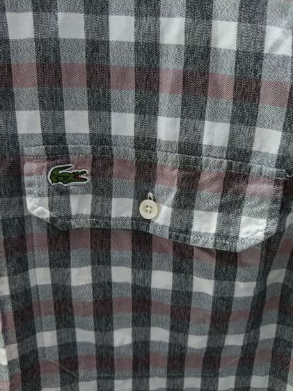 lacoste รูปที่ 8