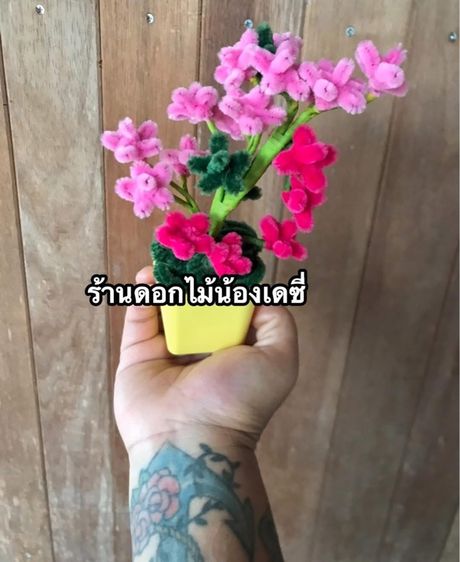 อื่นๆ ต้นซากุระลวดกำมะหยี่