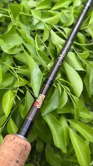 ตกปลา คันเบ็ด Abu Garcia Morrum