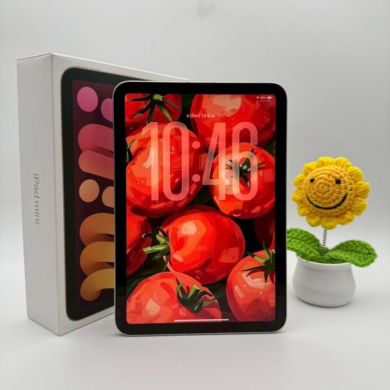 Apple 256 GB iPad Mini 7 256GB Wi-Fi + Cellular รหัสสินค้า PA151