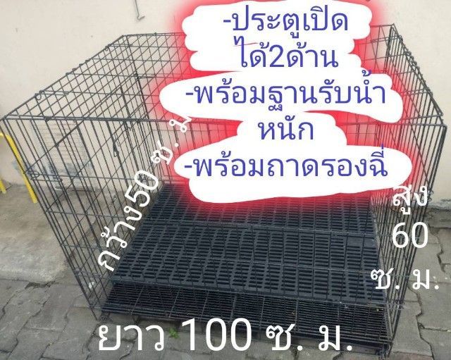 กรงสุนัข  รูปที่ 10