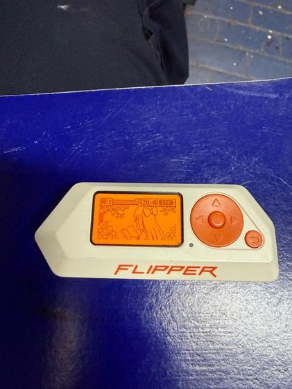 อุปกรณ์เครือข่าย FLIPPER ZERO