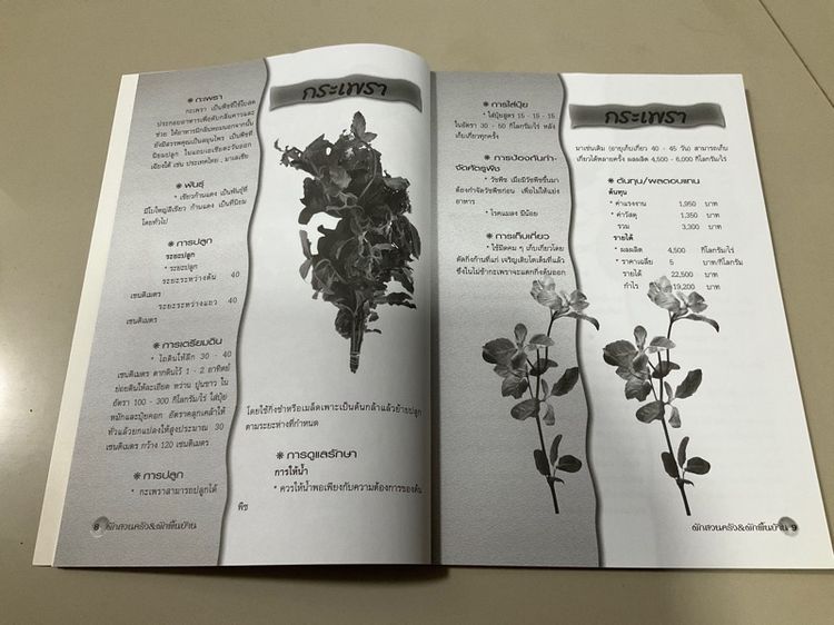 หนังสือ "คู่มือการเพาะปลูกผักสวนครัว-ผักพื้นบ้าน" เขียนโดย อภิชาติ ศรีสอาด 94 หน้า  รูปที่ 5