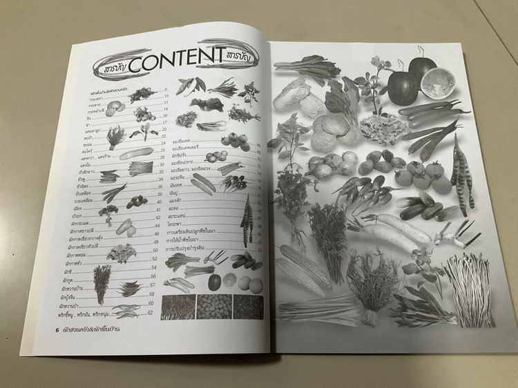 หนังสือ "คู่มือการเพาะปลูกผักสวนครัว-ผักพื้นบ้าน" เขียนโดย อภิชาติ ศรีสอาด 94 หน้า  รูปที่ 4