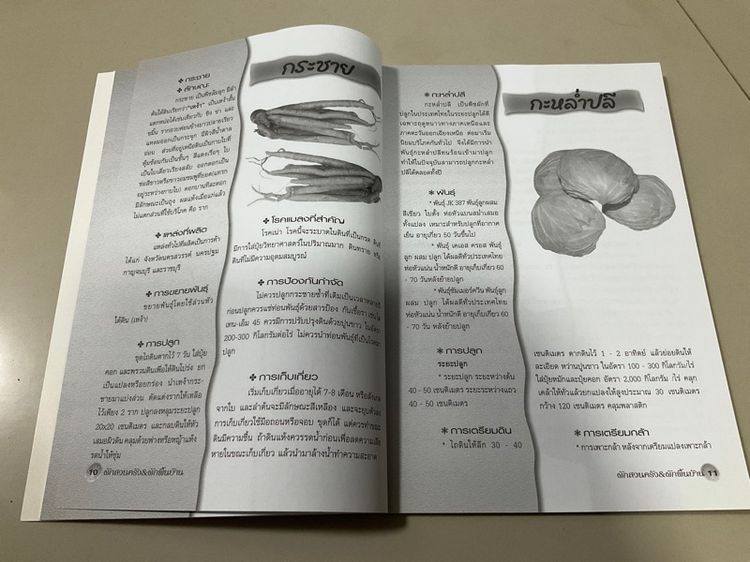 หนังสือ "คู่มือการเพาะปลูกผักสวนครัว-ผักพื้นบ้าน" เขียนโดย อภิชาติ ศรีสอาด 94 หน้า  รูปที่ 6