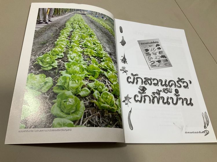 หนังสือ "คู่มือการเพาะปลูกผักสวนครัว-ผักพื้นบ้าน" เขียนโดย อภิชาติ ศรีสอาด 94 หน้า  รูปที่ 2