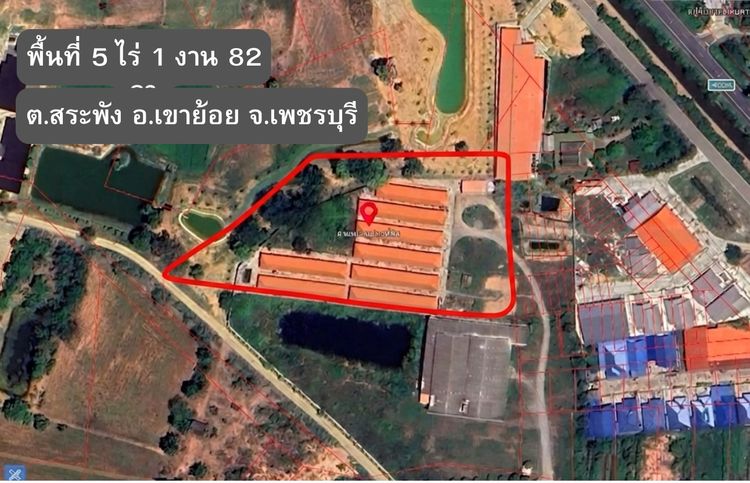 📍 ขายทรัพย์พร้อมรายได้ อ.เขาย้อย จ.เพชรบุรี รูปที่ 3