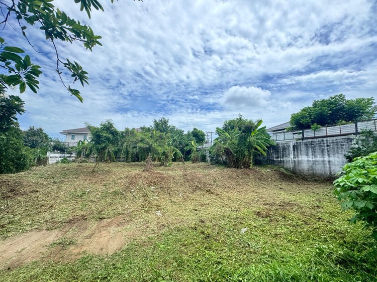 ขายที่ดิน 100 ตรว. รูปที่ 2