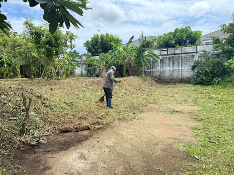 ขายที่ดิน 100 ตรว. รูปที่ 4
