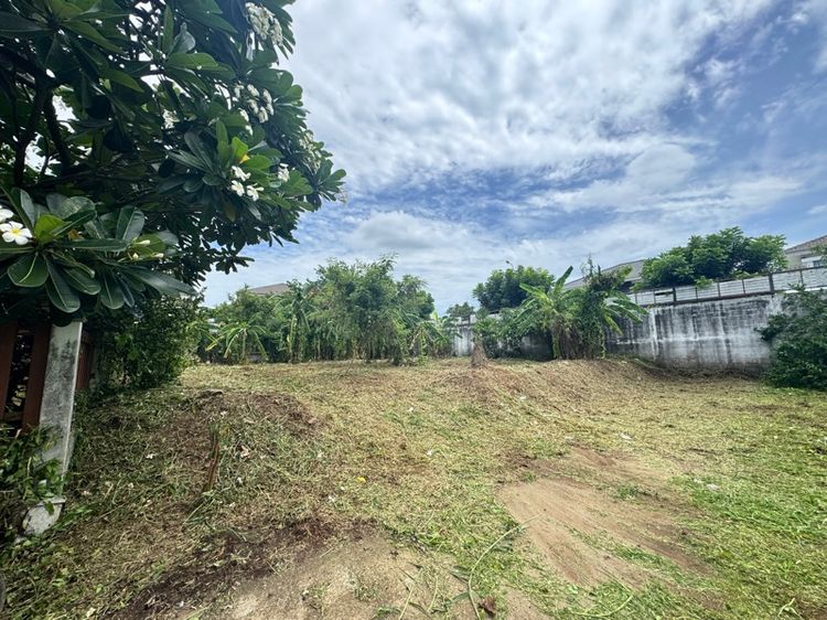 ขายที่ดิน 100 ตรว. รูปที่ 3