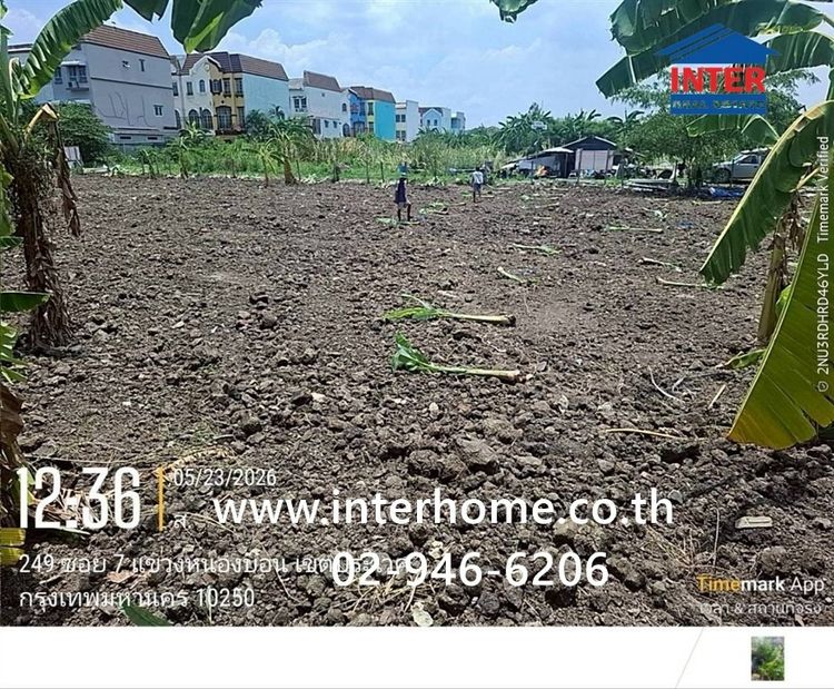 ที่ดินเปล่า 150 ตร.ว. ที่ดิน หมู่บ้านมิตรภาพ อ่อนนุช46 ซอยศรีนครินทร์36 ซอยอ่อนนุช46 ถนนอ่อนนุช ถนนศรีนครินทร์ เขตพระโขนง กรุงเทพมหานคร รูปที่ 3