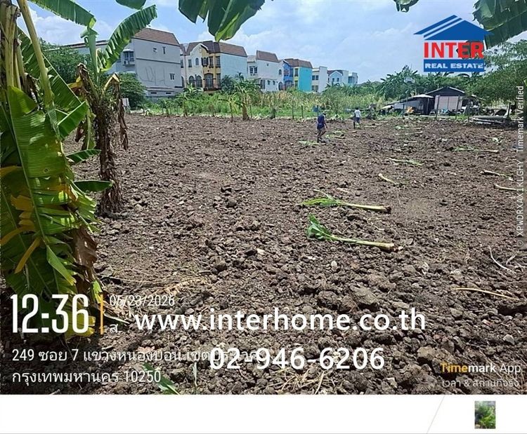 ที่ดินเปล่า 150 ตร.ว. ที่ดิน หมู่บ้านมิตรภาพ อ่อนนุช46 ซอยศรีนครินทร์36 ซอยอ่อนนุช46 ถนนอ่อนนุช ถนนศรีนครินทร์ เขตพระโขนง กรุงเทพมหานคร รูปที่ 2