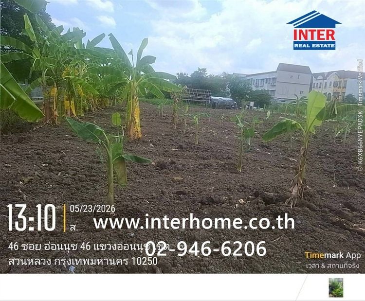 ที่ดินเปล่า 150 ตร.ว. ที่ดิน หมู่บ้านมิตรภาพ อ่อนนุช46 ซอยศรีนครินทร์36 ซอยอ่อนนุช46 ถนนอ่อนนุช ถนนศรีนครินทร์ เขตพระโขนง กรุงเทพมหานคร รูปที่ 4