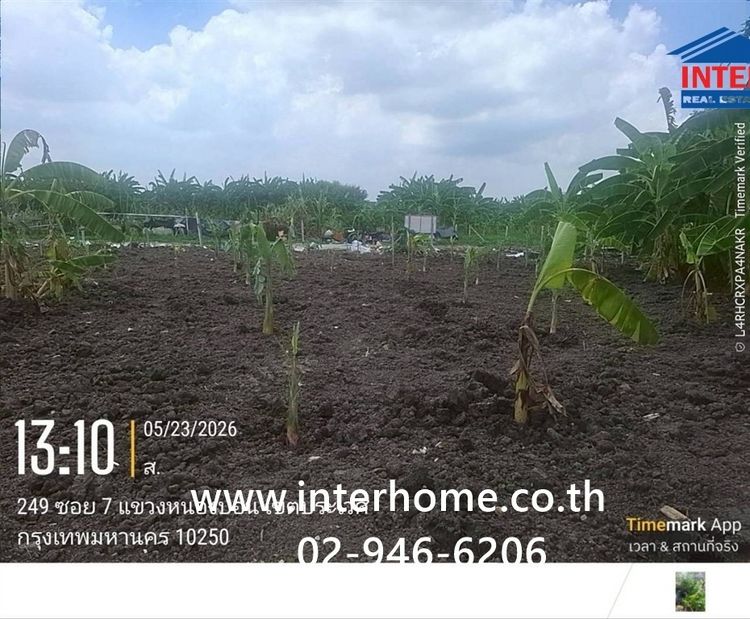 ที่ดินเปล่า 100 ตร.ว. หมู่บ้านมิตรภาพ อ่อนนุช46 ซอยศรีนครินทร์36 ซอยอ่อนนุช46 ถนนอ่อนนุช ถนนศรีนครินทร์ เขตพระโขนง กรุงเทพมหานคร รูปที่ 4