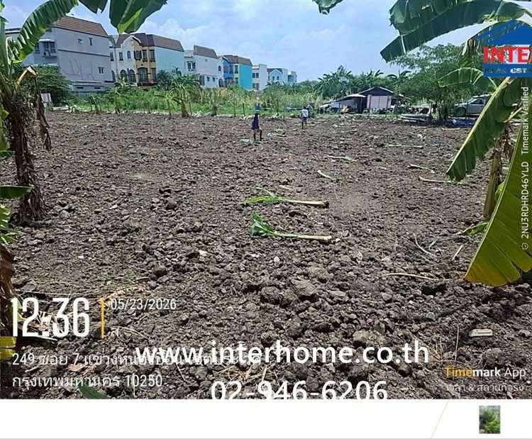 ที่ดินเปล่า 100 ตร.ว. หมู่บ้านมิตรภาพ อ่อนนุช46 ซอยศรีนครินทร์36 ซอยอ่อนนุช46 ถนนอ่อนนุช ถนนศรีนครินทร์ เขตพระโขนง กรุงเทพมหานคร รูปที่ 3
