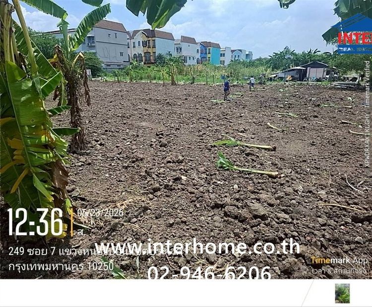 ที่ดินเปล่า 100 ตร.ว. หมู่บ้านมิตรภาพ อ่อนนุช46 ซอยศรีนครินทร์36 ซอยอ่อนนุช46 ถนนอ่อนนุช ถนนศรีนครินทร์ เขตพระโขนง กรุงเทพมหานคร รูปที่ 2