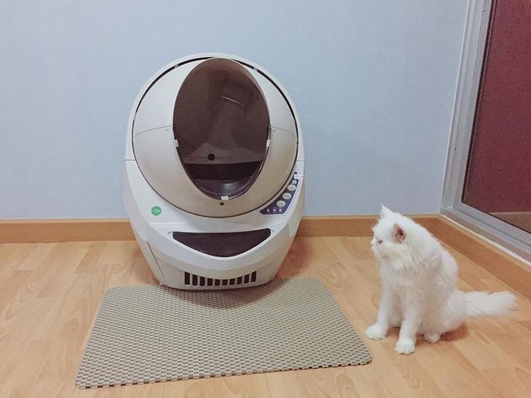 ห้องน้ำแมวอัตโนมัติ
