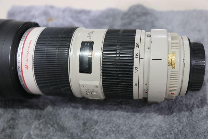 canon รูปที่ 8