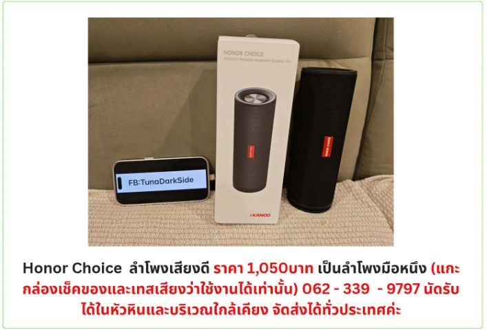ลำโพง Honor Choice 