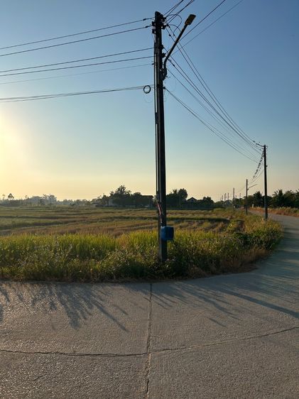 ที่ดินเปล่า รูปที่ 3