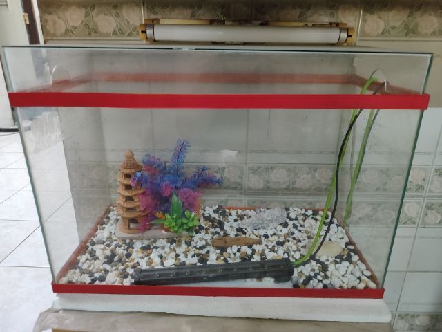 อุปกรณ์ตู้ปลา ตู้ปลาครบชุด 20 x 14 x 10 นิ้ว (กว้าง x ยาว x สูง) 