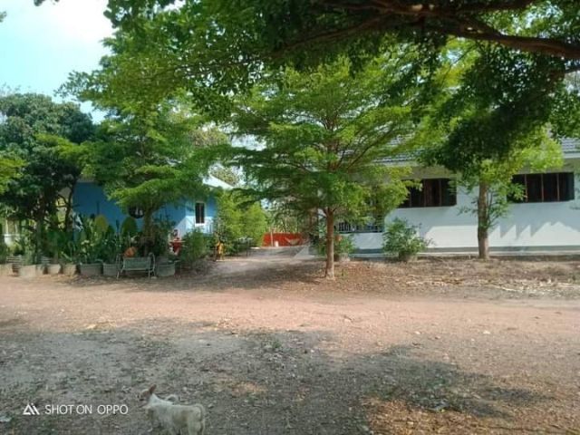 ไม่ใช่ ขายบ้านพร้อมที่ดินผืนใหญ่ ทำเล อ.ห้างฉัตร จ.ลำปาง ที่ดินหน้ากว้างติดถนน รูปที่ 2