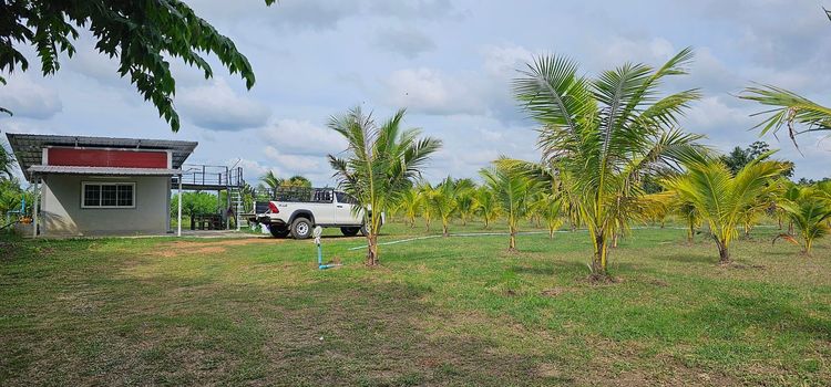 ที่ติดลำน้ำ ที่พัก 1 หลัง น้ำไฟ้พร้อม โฉนด นส.3ก รูปที่ 4