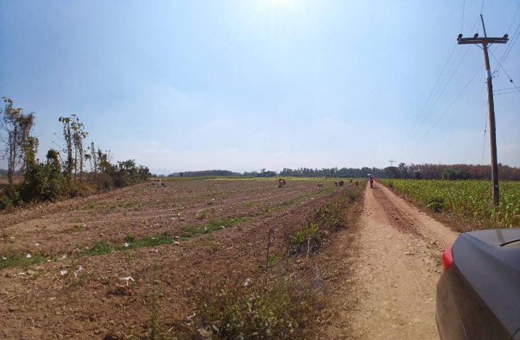 ขายที่ดิน เกษตรแปลงสวย