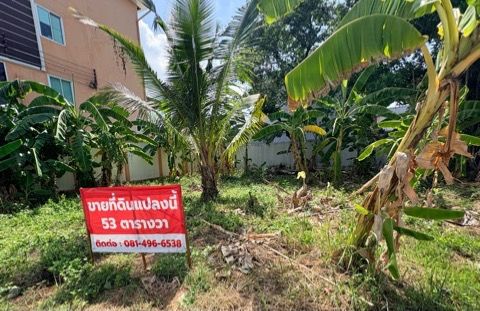 ขายที่ดินเปล่า53ตร.ว. ซอยลาดกระบัง38ทับ4