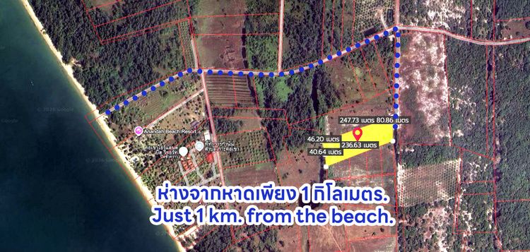 ที่ดิน ใกล้ทะเล เกาะคอเขา,พังงา 11ไร่3งาน  รูปที่ 3