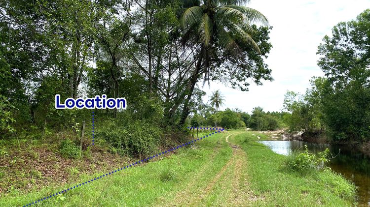 ที่ดิน ใกล้ทะเล เกาะคอเขา,พังงา 11ไร่3งาน  รูปที่ 4