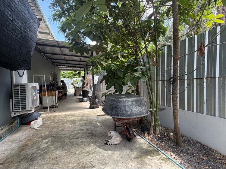 ไม่ใช่ ขายบ้าน พร้อมที่ดิน  รูปที่ 3