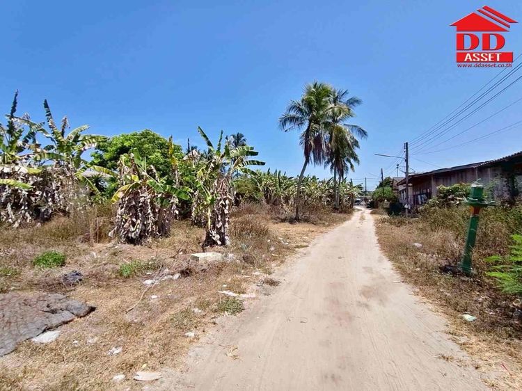 ขายที่ดินติดถนน ใกล้ รพ.สิชล จ.นครศรีธรรมราช รูปที่ 3