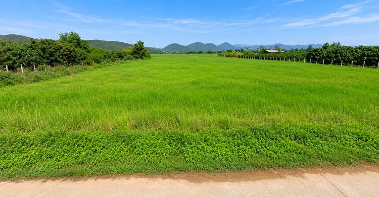 🌿 ขายที่ดินวิวภูเขา 3 ไร่ ต.มะเขือแจ้ อ.เมืองลำพูน เจ้าของขายเอง